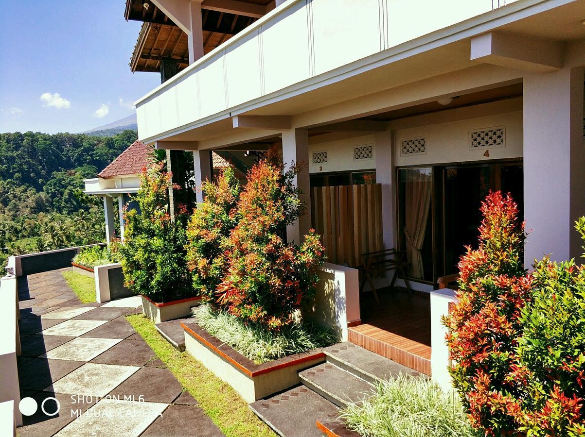 森纳儒蜻蜓旅馆酒店 外观 照片